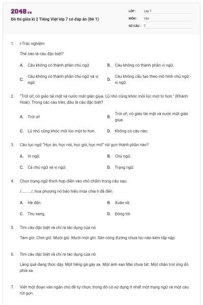 Đề thi giữa kì 2 Tiếng Việt lớp 7 có đáp án (Đề 1)