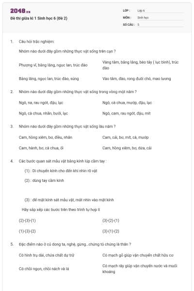 Đề thi giữa kì 1 Sinh học 6 (Đề 2)