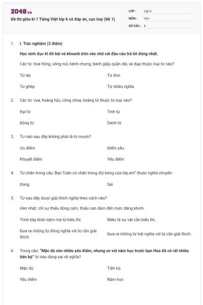 Đề thi giữa kì 1 Tiếng Việt lớp 6 có đáp án, cực hay (Đề 1)