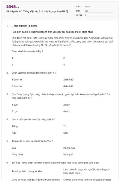 Đề thi giữa kì 1 Tiếng Việt lớp 6 có đáp án, cực hay (Đề 3)