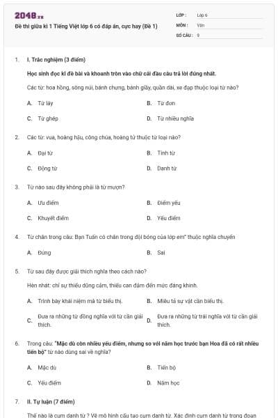 Đề thi giữa kì 1 Tiếng Việt lớp 6 có đáp án, cực hay (Đề 1)