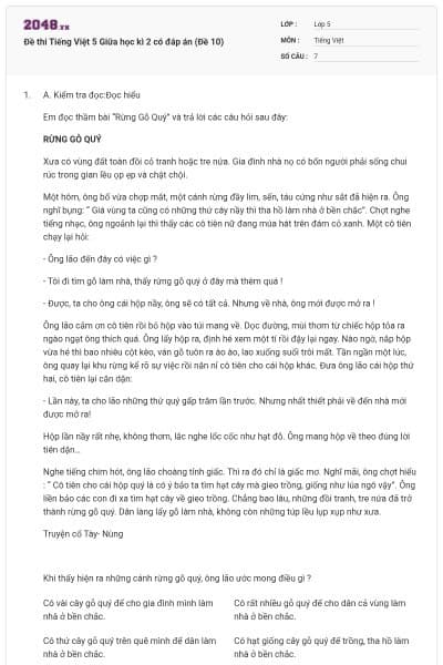 Đề thi Tiếng Việt 5 Giữa học kì 2 có đáp án (Đề 10)