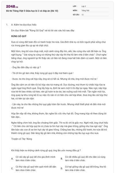 Đề thi Tiếng Việt 5 Giữa học kì 2 có đáp án (Đề 10)