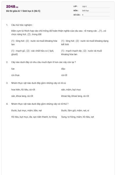 Đề thi giữa kì 1 Sinh học 6 (Đề 5)