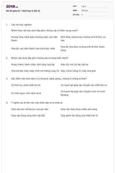 Đề thi giữa kì 1 Sinh học 6 (Đề 3)
