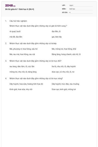 Đề thi giữa kì 1 Sinh học 6 (Đề 4)