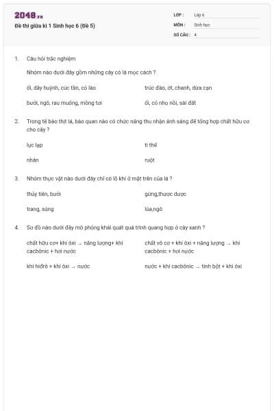 Đề thi giữa kì 1 Sinh học 6 (Đề 5)