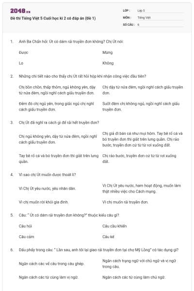Đề thi Tiếng Việt 5 Cuối học kì 2 có đáp án (Đề 1)