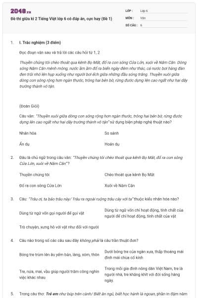 Đề thi giữa kì 2 Tiếng Việt lớp 6 có đáp án, cực hay (Đề 1)