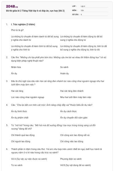 Đề thi giữa kì 2 Tiếng Việt lớp 6 có đáp án, cực hay (Đề 2)