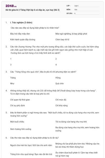 Đề thi giữa kì 2 Tiếng Việt lớp 6 có đáp án, cực hay (Đề 3)