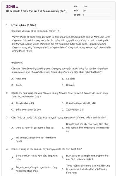 Đề thi giữa kì 2 Tiếng Việt lớp 6 có đáp án, cực hay (Đề 1)