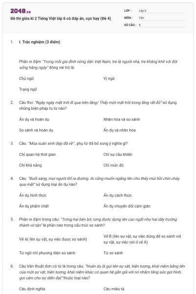 Đề thi giữa kì 2 Tiếng Việt lớp 6 có đáp án, cực hay (Đề 4)