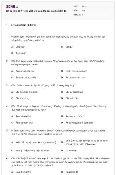 Đề thi giữa kì 2 Tiếng Việt lớp 6 có đáp án, cực hay (Đề 4)