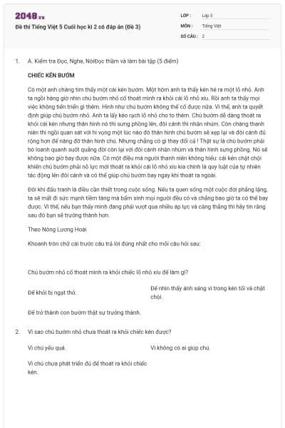 Đề thi Tiếng Việt 5 Cuối học kì 2 có đáp án (Đề 3)