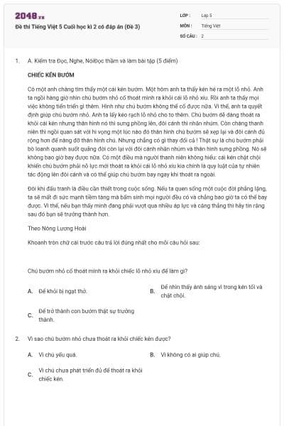 Đề thi Tiếng Việt 5 Cuối học kì 2 có đáp án (Đề 3)