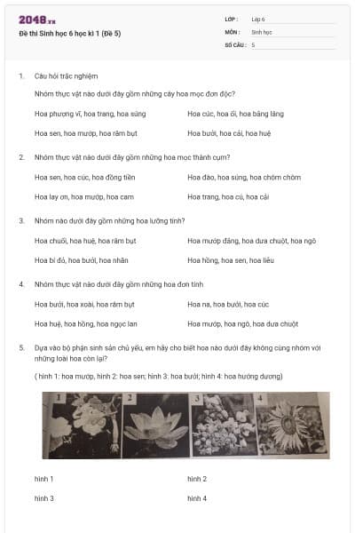 Đề thi Sinh học 6 học kì 1 (Đề 5)