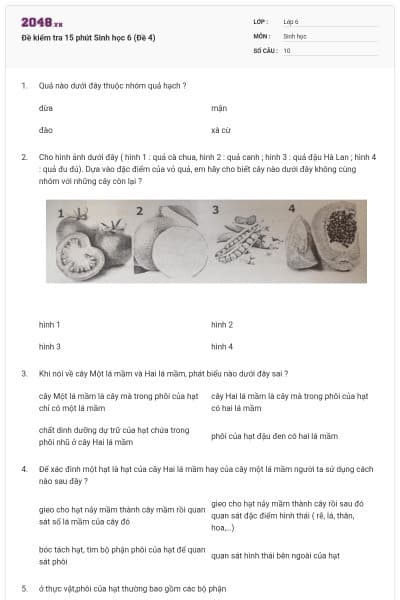 Đề kiểm tra 15 phút Sinh học 6 (Đề 4)