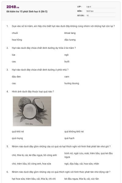 Đề kiểm tra 15 phút Sinh học 6 (Đề 5)
