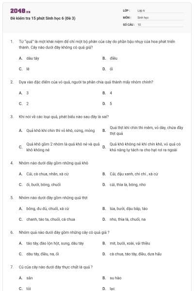 Đề kiểm tra 15 phút Sinh học 6 (Đề 3)