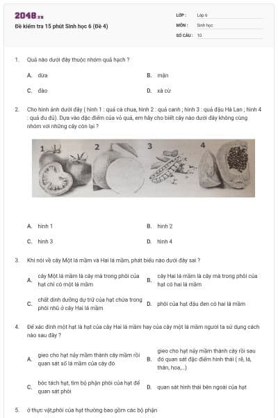 Đề kiểm tra 15 phút Sinh học 6 (Đề 4)