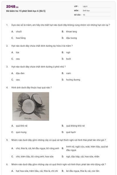 Đề kiểm tra 15 phút Sinh học 6 (Đề 5)