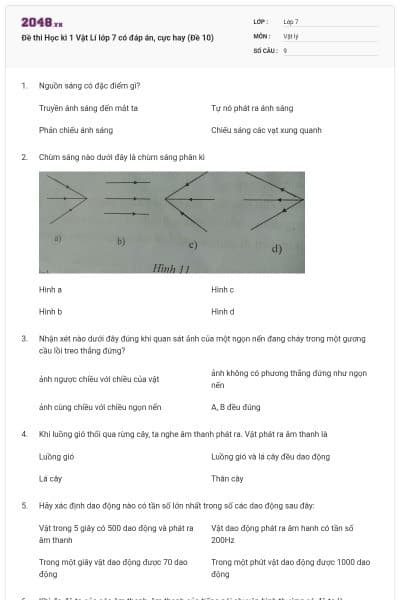 Đề thi Học kì 1 Vật Lí lớp 7 có đáp án, cực hay (Đề 10)