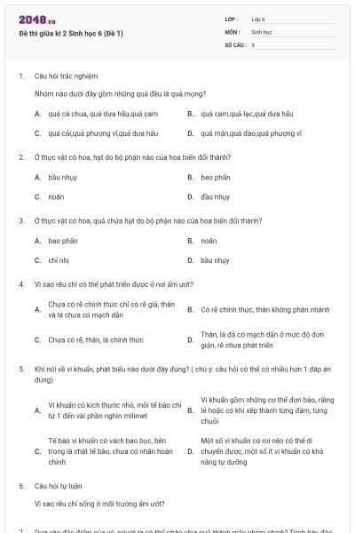 Đề thi giữa kì 2 Sinh học 6 (Đề 1)