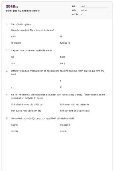 Đề thi giữa kì 2 Sinh học 6 (Đề 4)