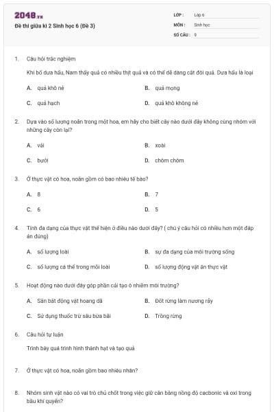 Đề thi giữa kì 2 Sinh học 6 (Đề 3)