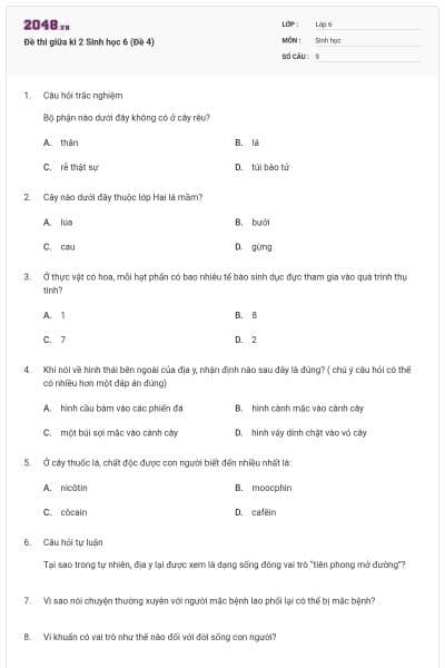 Đề thi giữa kì 2 Sinh học 6 (Đề 4)