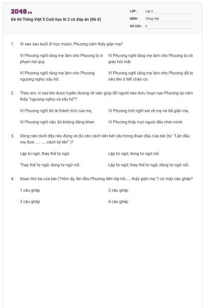 Đề thi Tiếng Việt 5 Cuối học kì 2 có đáp án (Đề 6)