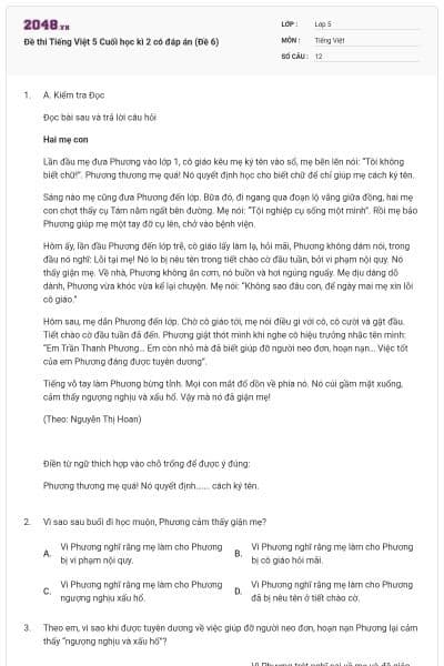 Đề thi Tiếng Việt 5 Cuối học kì 2 có đáp án (Đề 6)