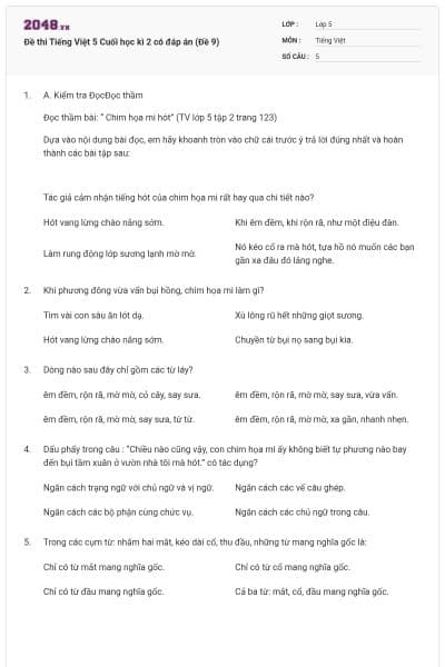 Đề thi Tiếng Việt 5 Cuối học kì 2 có đáp án (Đề 9)
