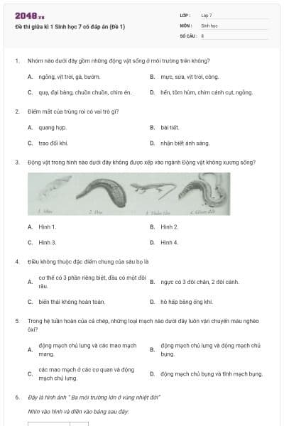 Đề thi giữa kì 1 Sinh học 7 có đáp án (Đề 1)