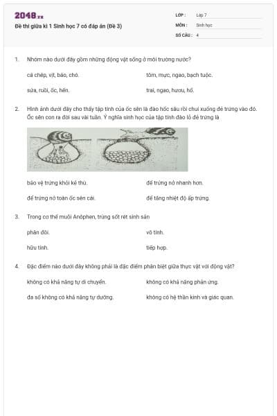Đề thi giữa kì 1 Sinh học 7 có đáp án (Đề 3)