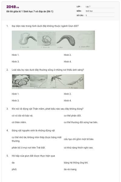 Đề thi giữa kì 1 Sinh học 7 có đáp án (Đề 1)