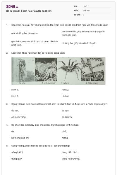 Đề thi giữa kì 1 Sinh học 7 có đáp án (Đề 2)