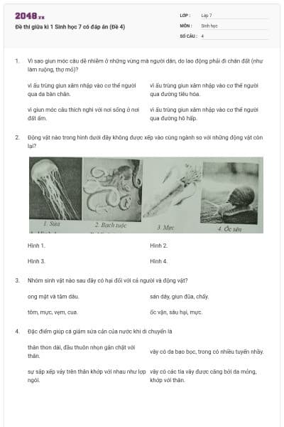 Đề thi giữa kì 1 Sinh học 7 có đáp án (Đề 4)