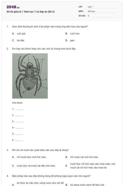 Đề thi giữa kì 1 Sinh học 7 có đáp án (Đề 3)