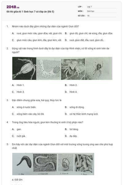 Đề thi giữa kì 1 Sinh học 7 có đáp án (Đề 5)