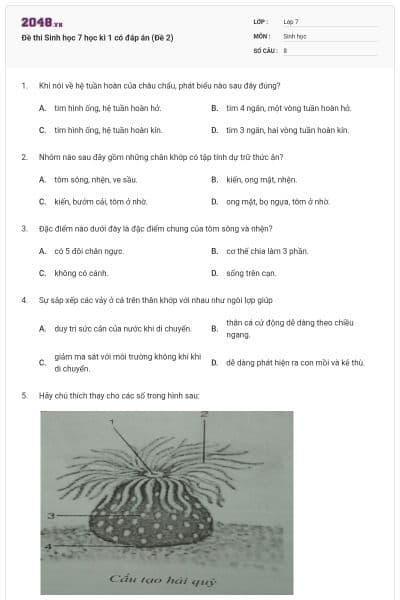 Đề thi Sinh học 7 học kì 1 có đáp án (Đề 2)