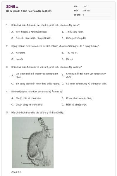 Đề thi giữa kì 2 Sinh học 7 có đáp án (Đề 2)