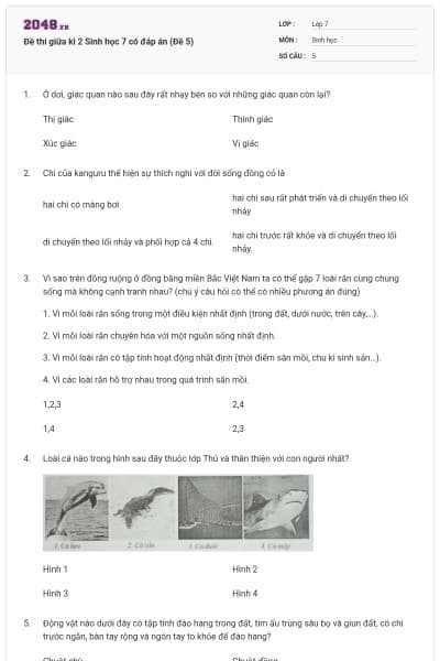 Đề thi giữa kì 2 Sinh học 7 có đáp án (Đề 5)