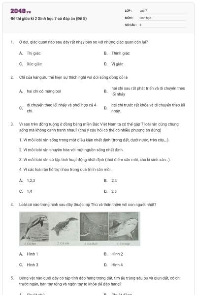 Đề thi giữa kì 2 Sinh học 7 có đáp án (Đề 5)