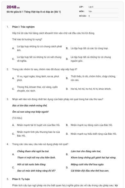 Đề thi giữa kì 1 Tiếng Việt lớp 8 có đáp án (Đề 1)