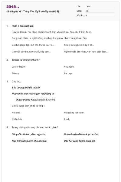 Đề thi giữa kì 1 Tiếng Việt lớp 8 có đáp án (Đề 4)