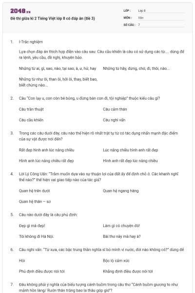 Đề thi giữa kì 2 Tiếng Việt lớp 8 có đáp án (Đề 3)