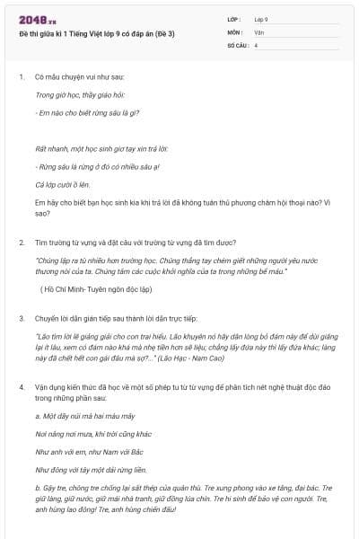 Đề thi giữa kì 1 Tiếng Việt lớp 9 có đáp án (Đề 3)
