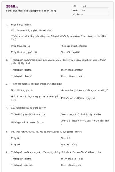 Đề thi giữa kì 2 Tiếng Việt lớp 9 có đáp án (Đề 4)